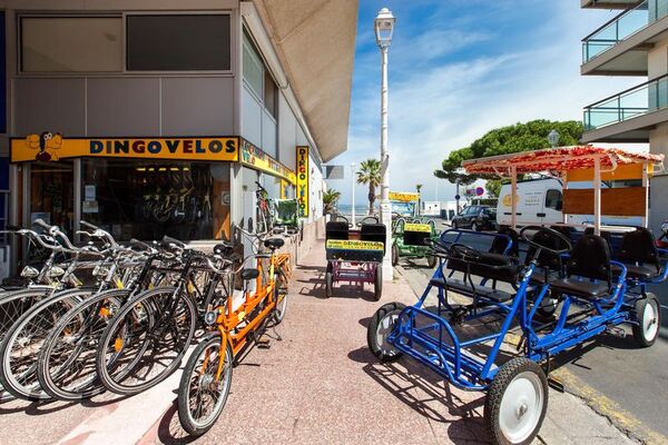 facade-magasin-location-velos-arcachon-dingovelos