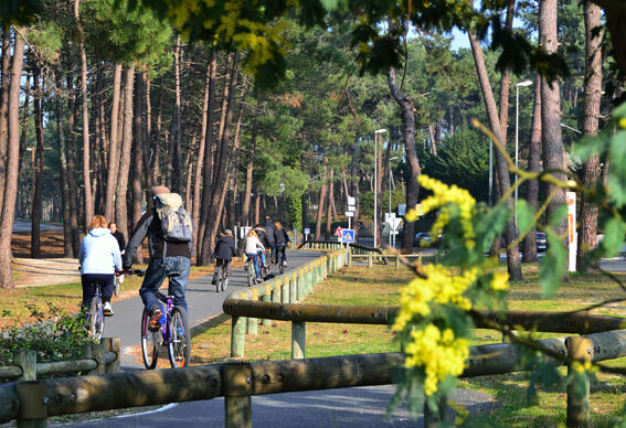 pistes cyclables