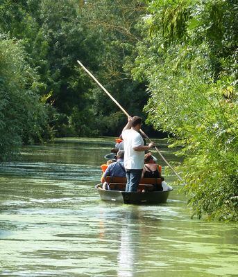A-la-pigouille-dans-le-Marais-Poitevin