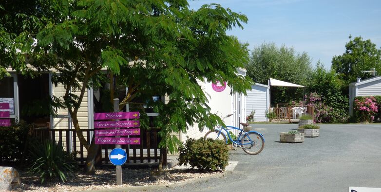 Entrée rognée