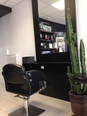 coiffeur-masculin-feminin