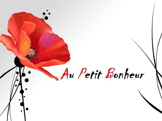coquelicot modif 3 (2)