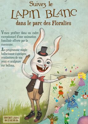 lapin-blanc
