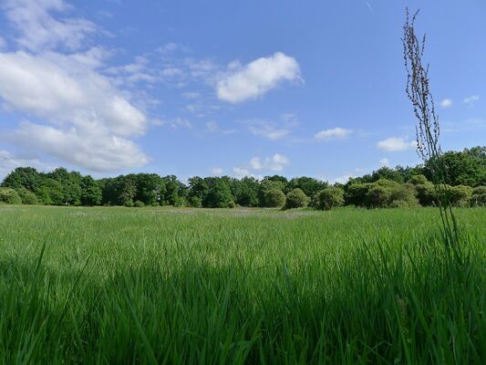 le-pic-vert-4-1548745