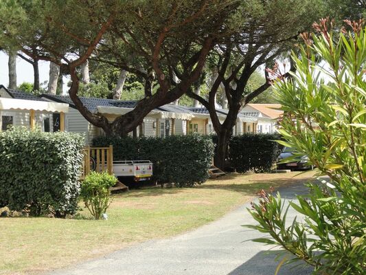 camping-la-baiedaunis-latranchesurmer-85_04