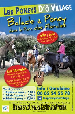 poneys-do-village