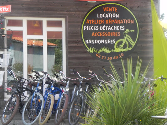 velo & company (4)