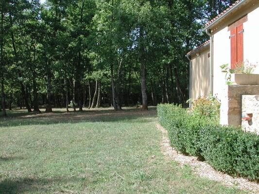 46MS00420