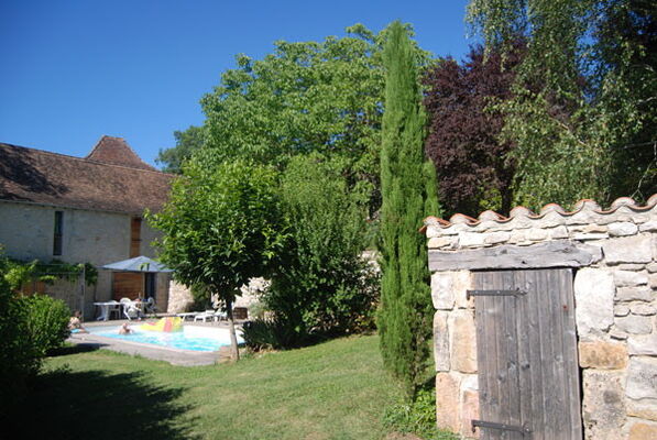 46MS00981