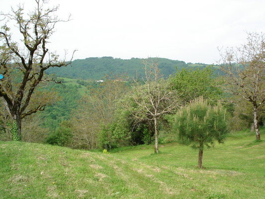 46MS00301
