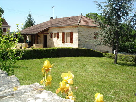 46MS01031