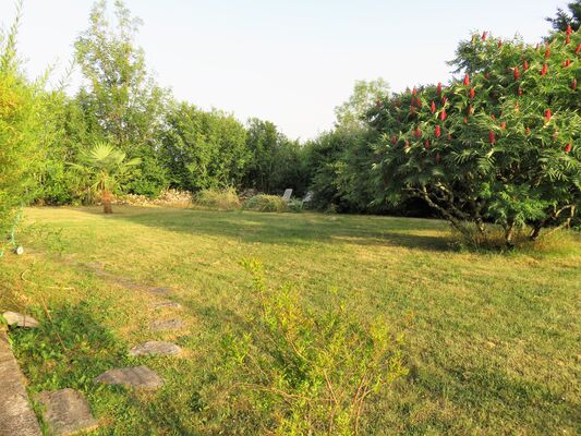 jardin