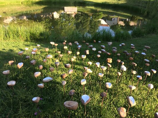 8juin_jardinsPaysages_pnrcqP.Andlauer