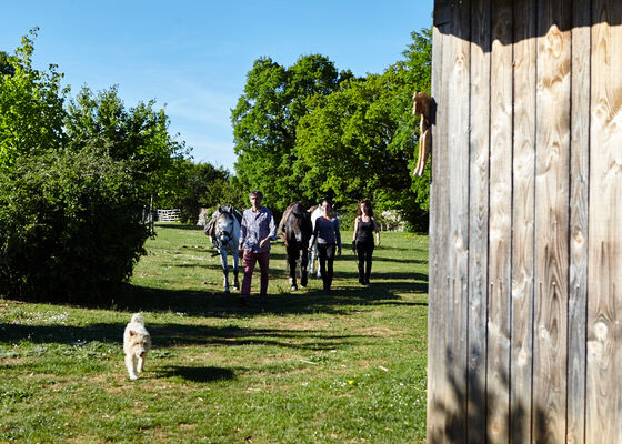 arrivée sur la ferme