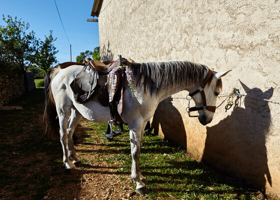 barre d'attache