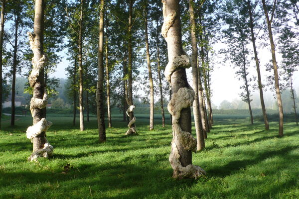 09_LeParcoursdartcontemporainenvalleduLot