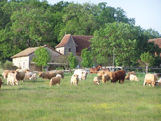 1 gite le garde-pile vue côté sud-ouest GP