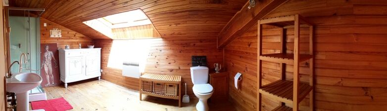 Salle de bains 3 - lavabo, cabine de douche, WC