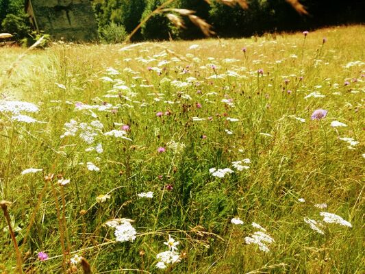 12-Aire naturelle Moulin de Lacombe