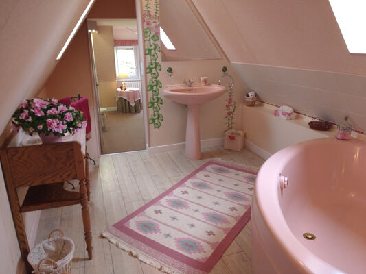 13_Les Hortensias Salle de bain