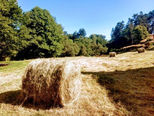 17-Aire naturelle Moulin de Lacombe