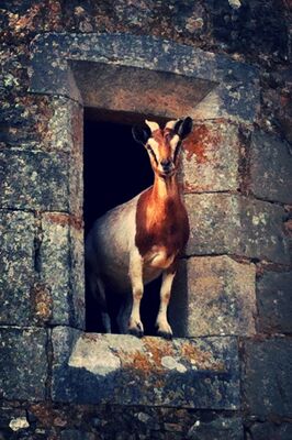 18 les tours de tersac