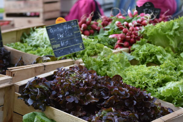 180601-Produits marché de Cahors16©V.SEGUIN-OT Cahors-St Cirq Lapopie