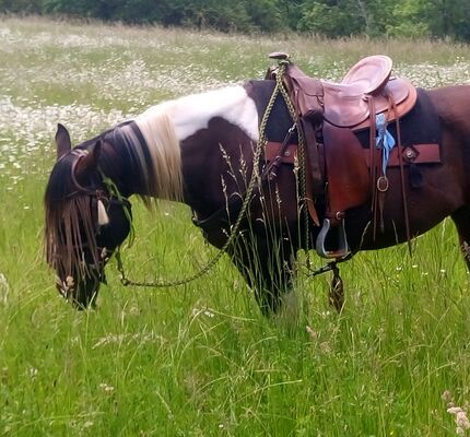180923_Journee_du_Cheval_Ranch_des_Centaurees_Albas_©Ranch des Centaurees