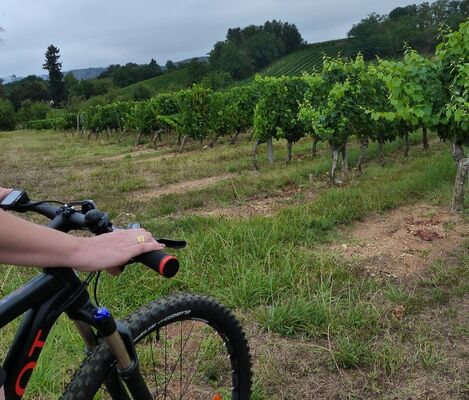 181106_COM_Cyclo_FMA_©Office de Tourisme Lot-Vignoble