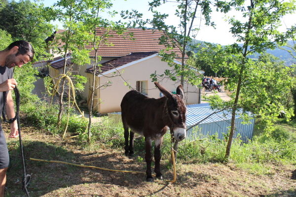 190415GiteLaPeyrade_Cajarc_Ane