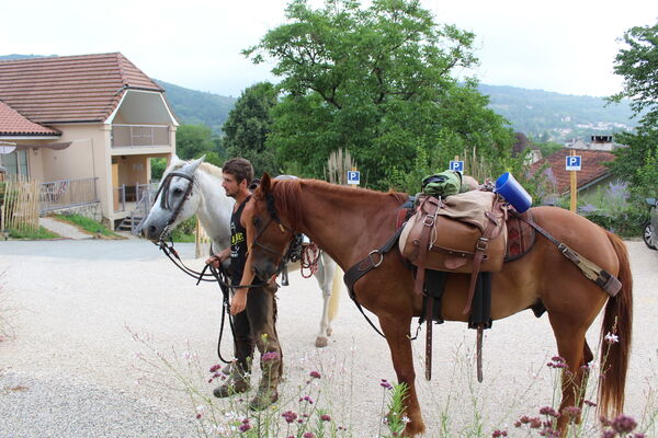 190208LaPeyrade_Cajarc_Cheval
