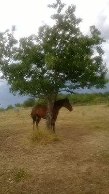 20 les tours de tersac
