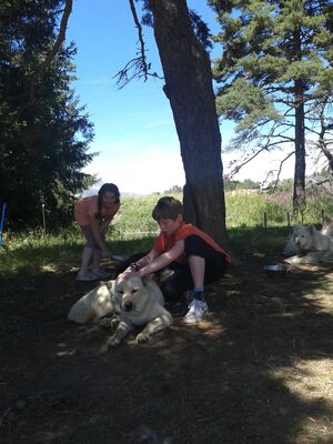 Terre Inukshuk