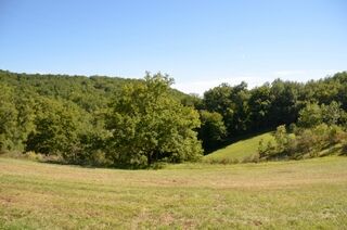 20130922_15-33-17_D7000