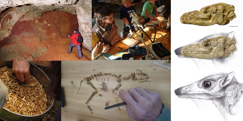 20juillet_safariPaleontologique_T.Pelissie
