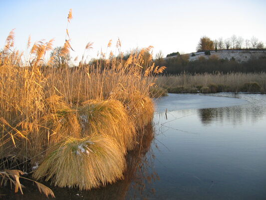 23022020-maraishiver