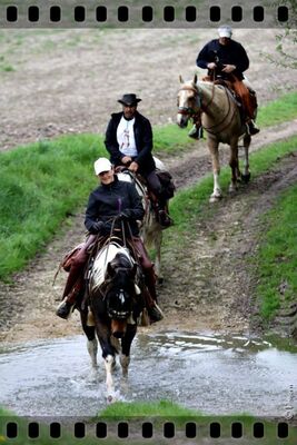 Centre équestre Le Ranch des Centaurées - ALBAS