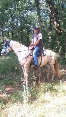 Centre équestre Le Ranch des Centaurées - ALBAS