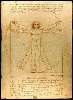 320px-Da_Vinci_Vitruve_Luc_Viatour
