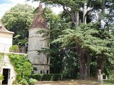 tour chateau cayrou