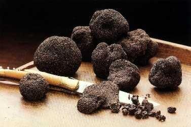 Truffes