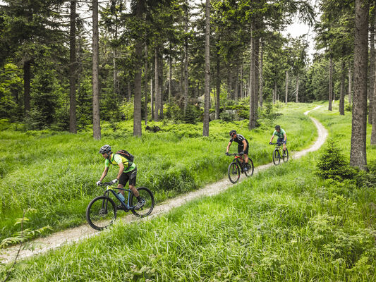 Vélo du Lot à Maxou