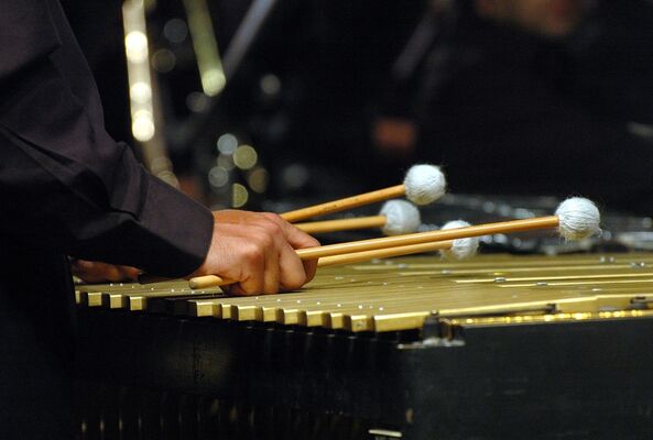 vibraphone©lucio forte_flickr