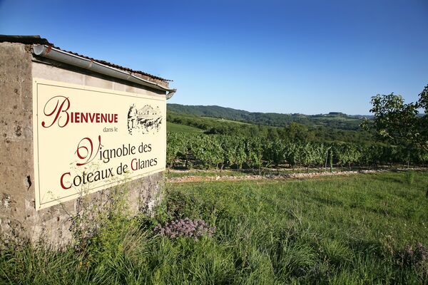 vignoble de glanes-® lot tourisme - j. morel-3