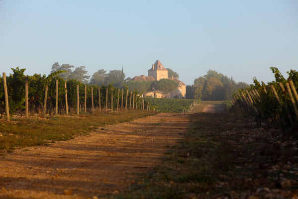 visite_haute-serre2