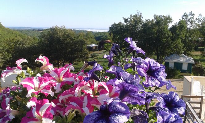 vue camping fleurs 2
