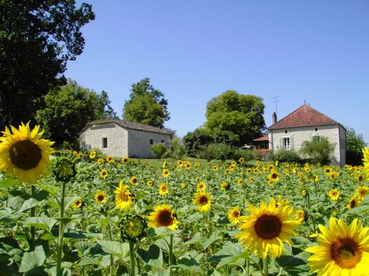 vue exterieure-vidaljpg