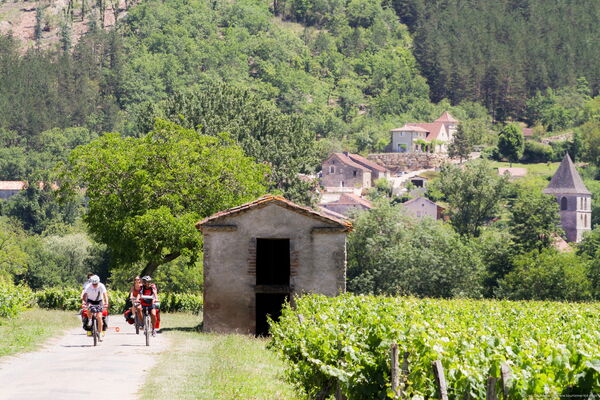 Luzech - A vélo dans les vignes