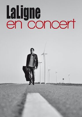 Affiche Sébastien Laligne OK