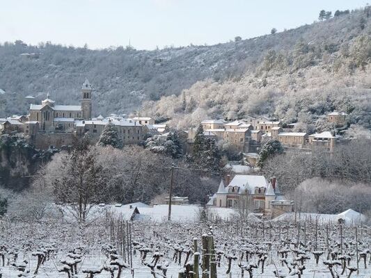 Albas sous la neige
